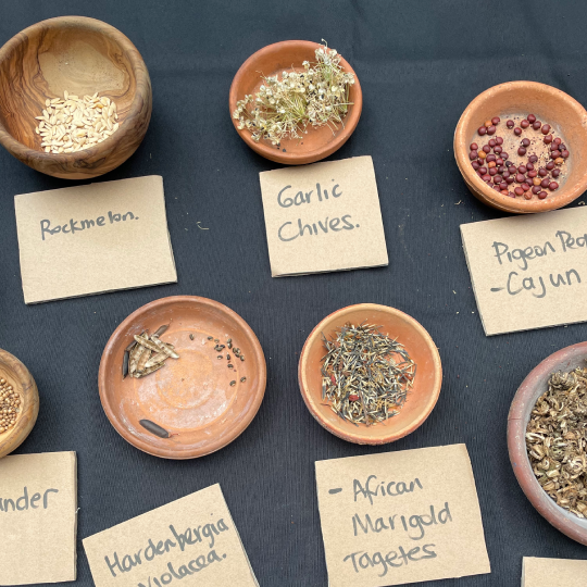 Crop Swap: Plants, Seeds & Produce